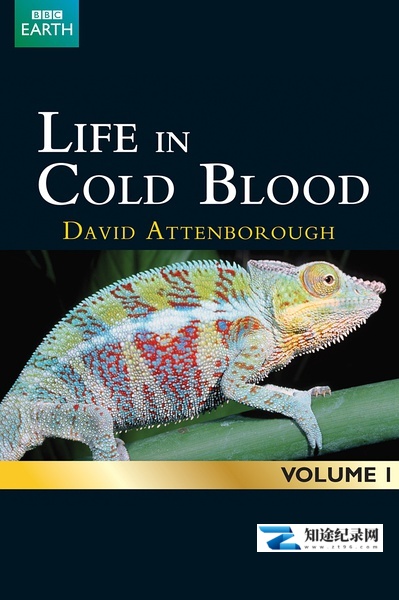 [BBC]冷血生命 Life In Cold Blood-知途纪录片网盘资源下载