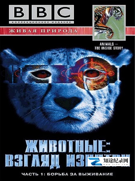 [BBC]透视动物 Animal The Inside Story-知途纪录片网盘资源下载