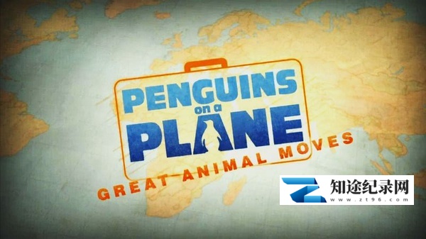 [BBC]动物大迁徙 Great Animal Moves-知途纪录片网盘资源下载