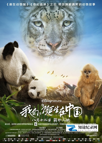 [CCTV]我们诞生在中国 Born in China-知途纪录片网盘资源下载