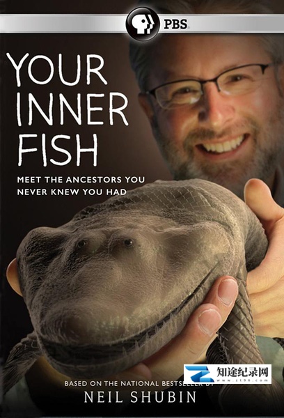 [BBC]你体内的鱼 Your Inner Fish-知途纪录片网盘资源下载