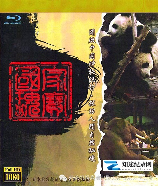 [NHK]中国神秘纪行  Mysterious Notes From China-知途纪录片网盘资源下载