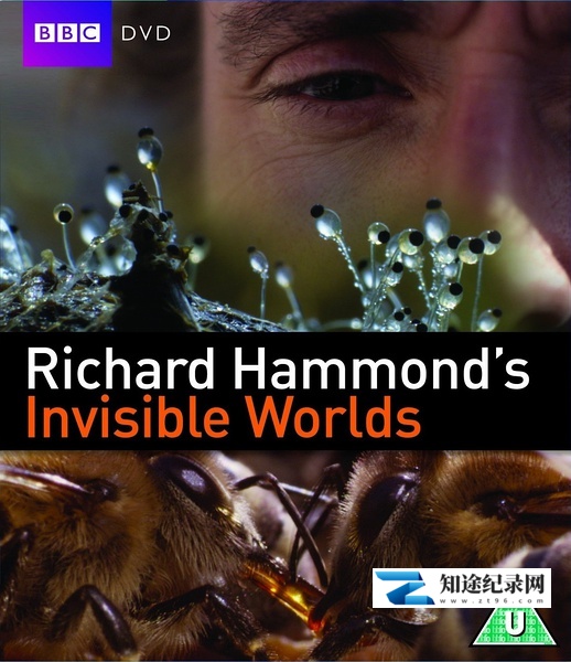 [BBC]看不见的世界 Richard Hammond's Invisible Worlds-知途纪录片网盘资源下载