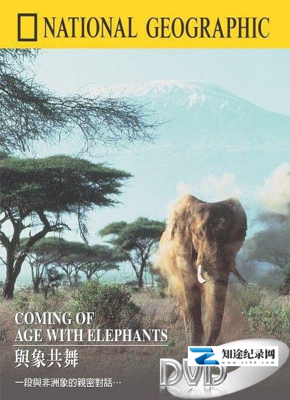 [国家地理]国家地理百年纪念典藏 National Geographic 100 Year-知途纪录片网盘资源下载