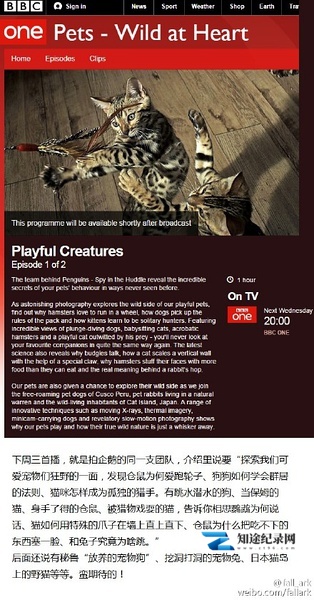 宠物:内心狂野 / Pets - Wild at Heart