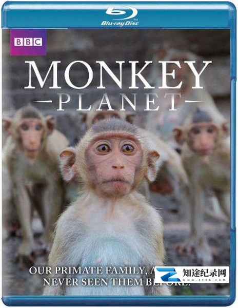 [BBC]猩猿星球 第一季 Monkey Planet Season 1-知途纪录片网盘资源下载