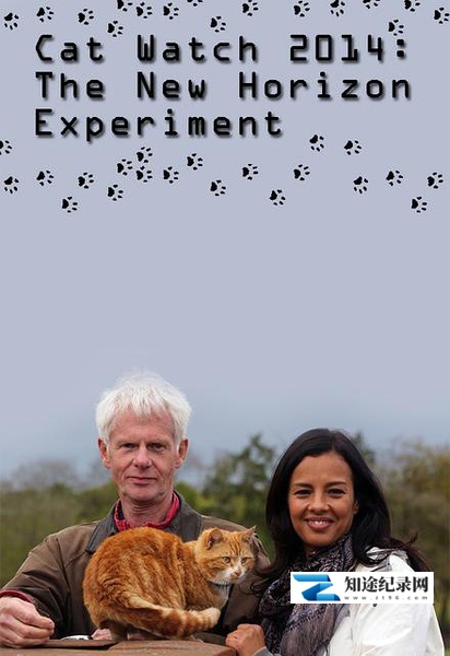 [BBC]地平线系列：猫咪观察 Cat Watch-知途纪录片网盘资源下载