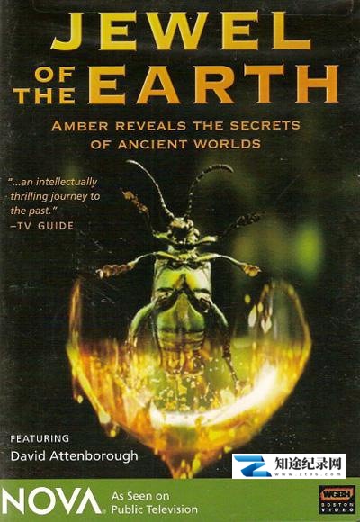 [PBS]琥珀昆虫 Jewel.of.the.Earth-知途纪录片网盘资源下载