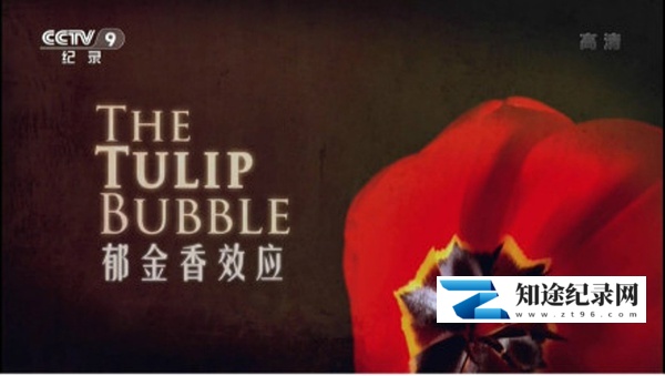 [其他]郁金香效应 rra Mater: Der Tulpen-Crash-知途纪录片网盘资源下载