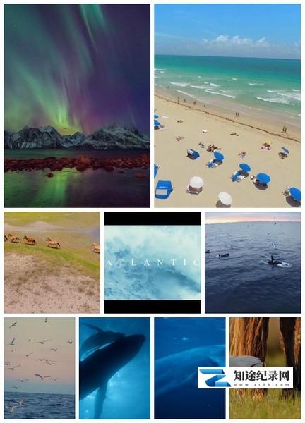 [BBC]大西洋：地球最狂野的海洋 Atlantic: The Wildest Ocean on Earth-知途纪录片网盘资源下载