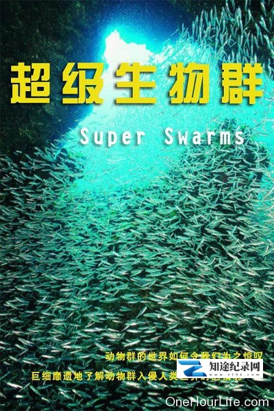 [CCTV]超级群体 Superswarms-知途纪录片网盘资源下载