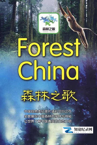 森林之歌 / Forest China