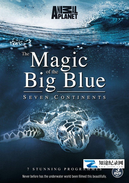 [Discovery]奇幻蔚蓝海 Magic of the Big Blue-知途纪录片网盘资源下载