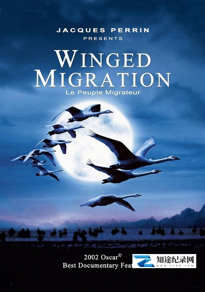 [其他]迁徙的鸟 Le peuple migrateur-知途纪录片网盘资源下载