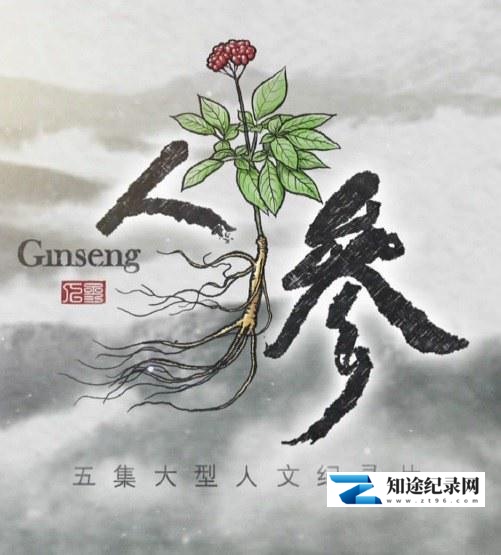 [其他]人参 Ginseng-知途纪录片网盘资源下载