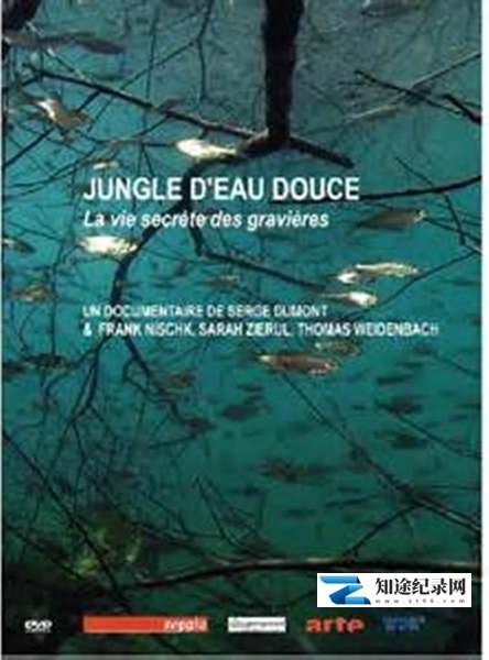 [其他]隐秘的天堂 Jungle d'eau douce – la vie secrète des gravières-知途纪录片网盘资源下载