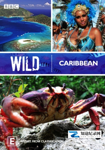 [BBC]野性加勒比 Wild Caribbean-知途纪录片网盘资源下载