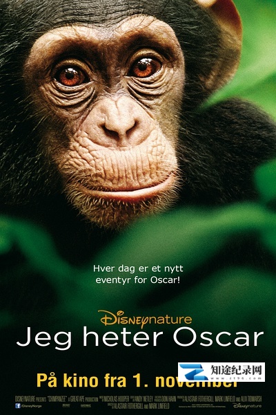 [国家地理]黑猩猩 Chimpanzee-知途纪录片网盘资源下载