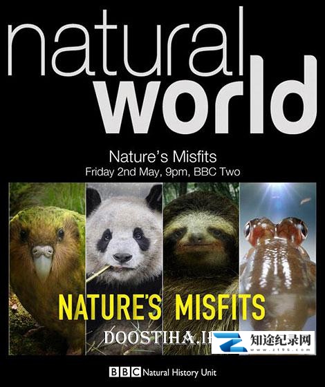 大自然里的奇怪动物 / Nature's Misfits
