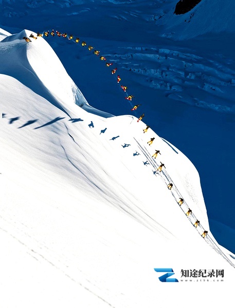[国家地理]飞翔的艺术 The Art of Flight-知途纪录片网盘资源下载