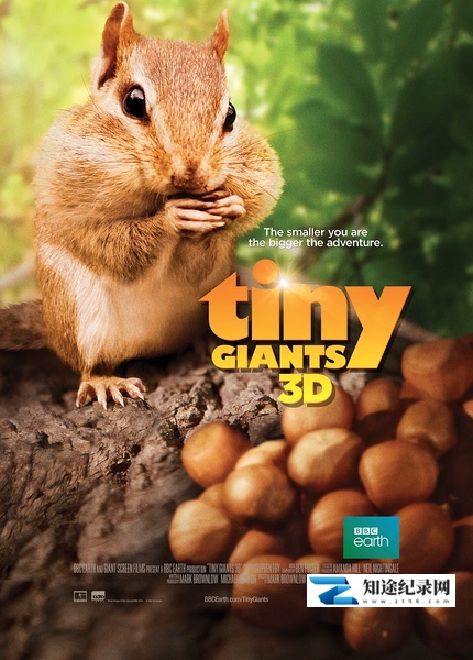 [BBC]小巨人 Tiny Giants 3D-知途纪录片网盘资源下载