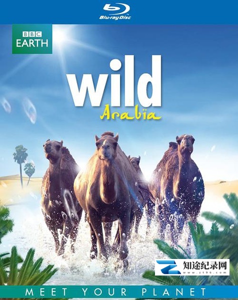 狂野阿拉伯 / Wild Arabia