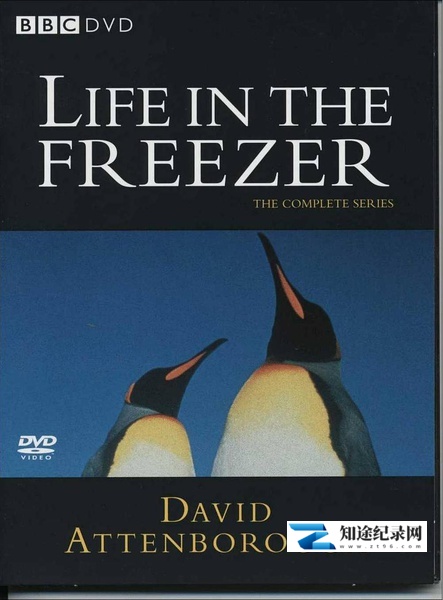 [BBC]冰雪的童话 Life In The Freezer-知途纪录片网盘资源下载