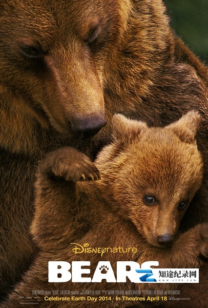 [Discovery]熊世界 Bears / 阿拉斯加的棕熊-知途纪录片网盘资源下载