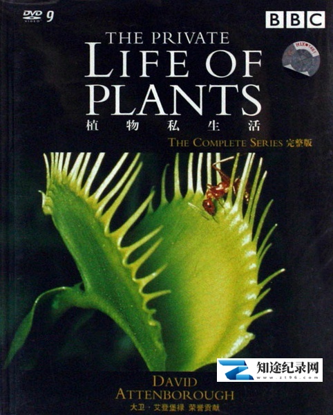 [BBC]植物私生活 The Private Life of Plants-知途纪录片网盘资源下载