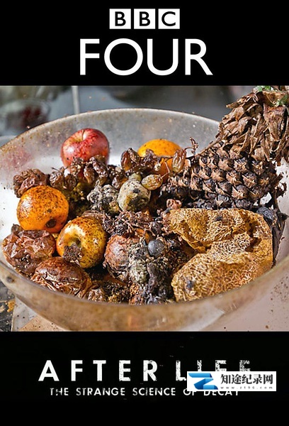 [BBC]生命循环：奇异的腐烂科学  After Life: The Strange Science of Decay-知途纪录片网盘资源下载