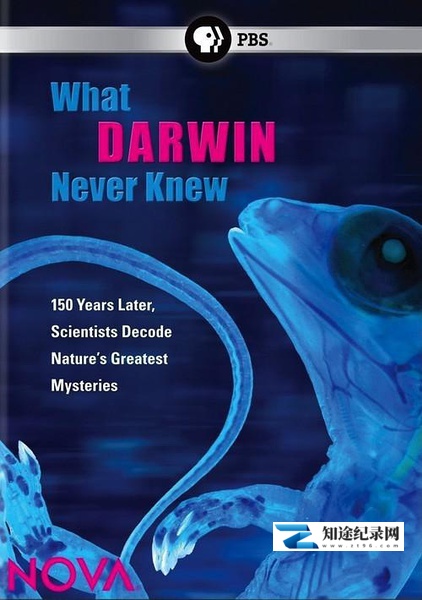 达尔文所不知道的事 / What Darwin Never Knew