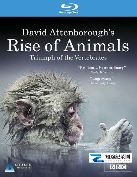 [BBC]动物的崛起  David Attenborough's Rise of Animals-知途纪录片网盘资源下载
