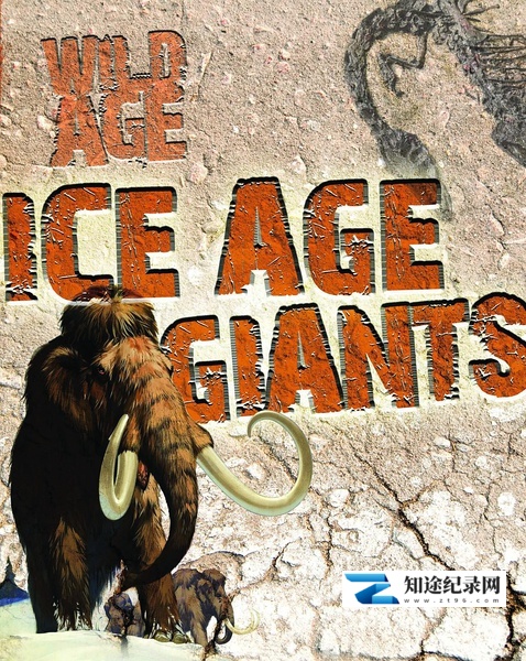 [BBC]冰河巨兽 Ice Age Giants-知途纪录片网盘资源下载