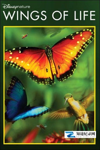 [其他]生命之翼 Wings of Life-知途纪录片网盘资源下载