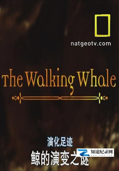 [国家地理]演化足迹 National Geographic Evolutions-知途纪录片网盘资源下载