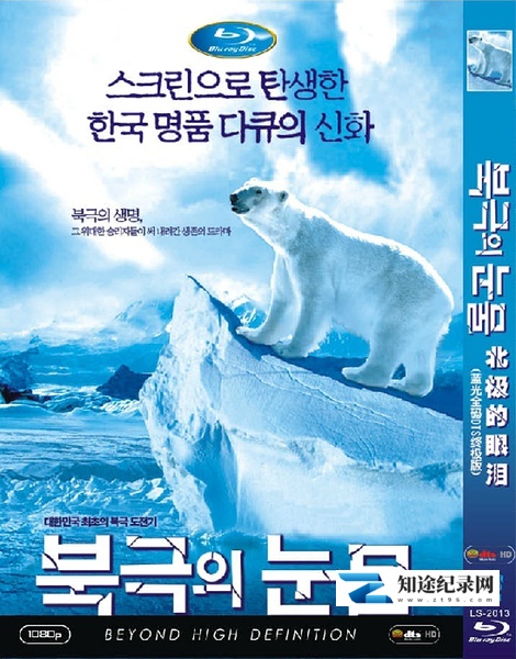 [KBS]北极的眼泪 북극의 눈물-知途纪录片网盘资源下载