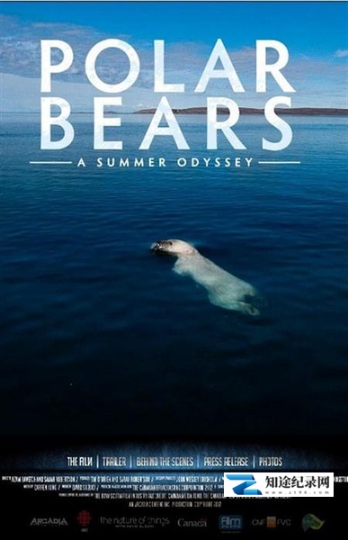 [IMAX]北极熊：一个夏天的奥德赛 Polar Bears: A Summer Odyssey-知途纪录片网盘资源下载