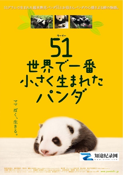 大熊猫51的故事 / 世界で一番小さく生まれたパンダ