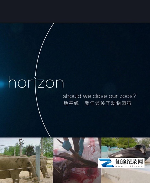 [BBC]BBC地平线：我们该关了动物园吗？ BBC Horizon: Should We Close Our Zoos-知途纪录片网盘资源下载