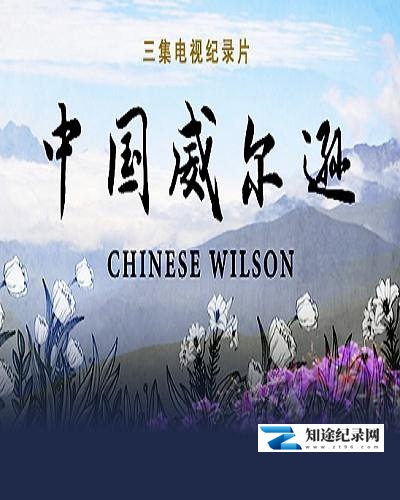 [CCTV]中国威尔逊 Chinese Wilson-知途纪录片网盘资源下载