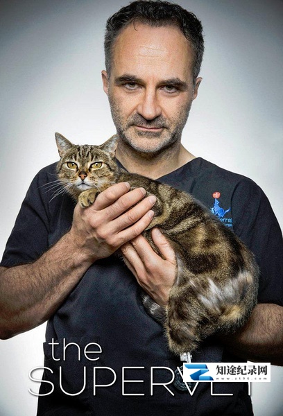 超级兽医 第一季 / The Supervet Season 1