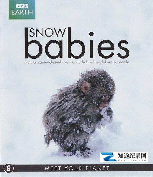 [BBC]冰上动物宝宝 Snow Babies-知途纪录片网盘资源下载