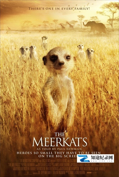 [BBC]蒙哥 The Meerkats-知途纪录片网盘资源下载