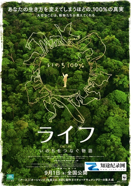 [NHK]地球生灵 One Life-知途纪录片网盘资源下载