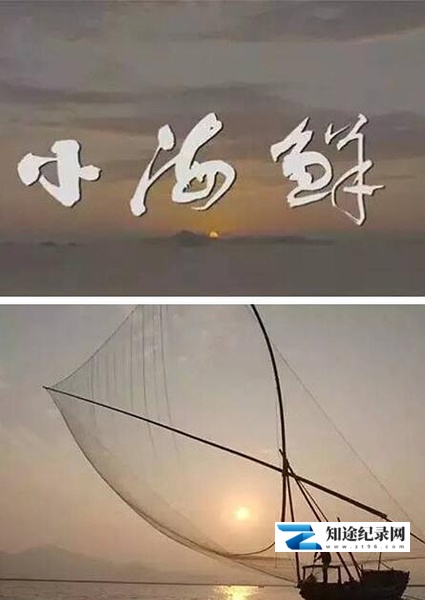 [CCTV]小海鲜 Tiny Seafood-知途纪录片网盘资源下载