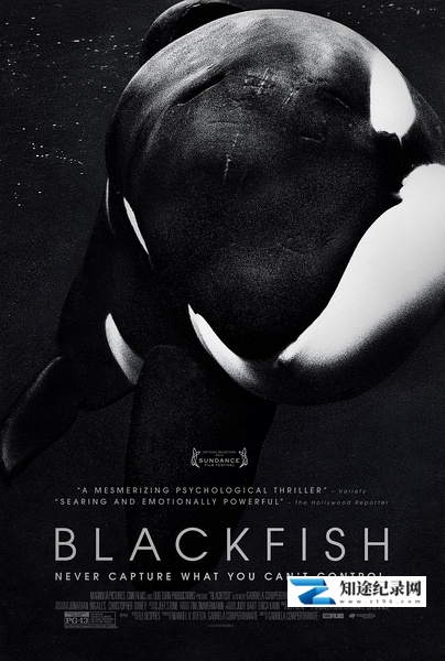[PBS]黑鲸 Blackfish-知途纪录片网盘资源下载