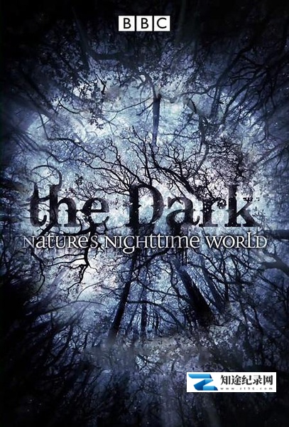 [BBC]黑暗中的自然界 The Dark: Nature's Nighttime World-知途纪录片网盘资源下载