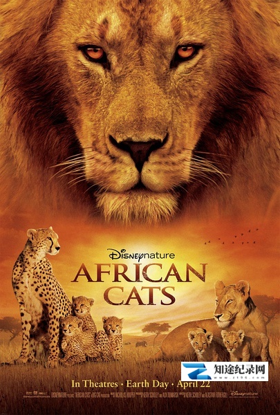 [Discovery]非洲猫科 African Cats-知途纪录片网盘资源下载
