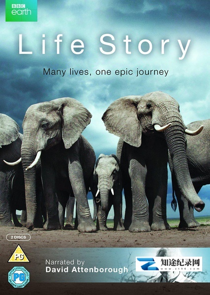 [BBC]生命故事 Life Story-知途纪录片网盘资源下载