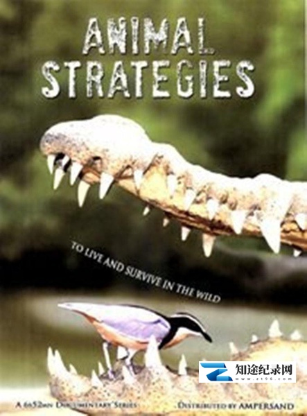 [CCTV]动物生存秘籍 Stratégies animales-知途纪录片网盘资源下载